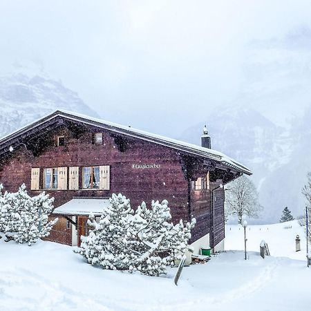 Apartment Chalet Blaugletscher By Interhome 그린델발트 외부 사진